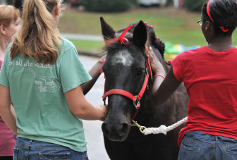 Kids working with a horse in the equine program at Youth Villages.