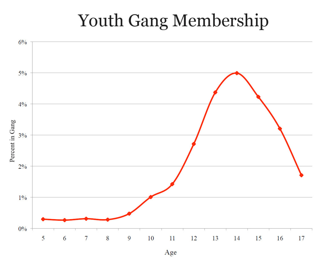 What is the average age of a gang member?