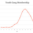 Percentage of Youth in Gangs