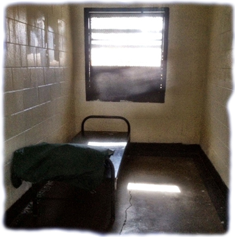 Solitary juvenile cell