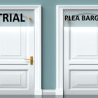 plea bargain: Trial and plea bargain as a choice - pictured as words on 2 doors
