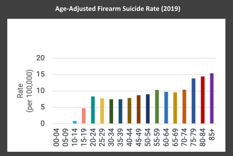 gun suicides chart: multi-color bar graph of gun suicides by age group
