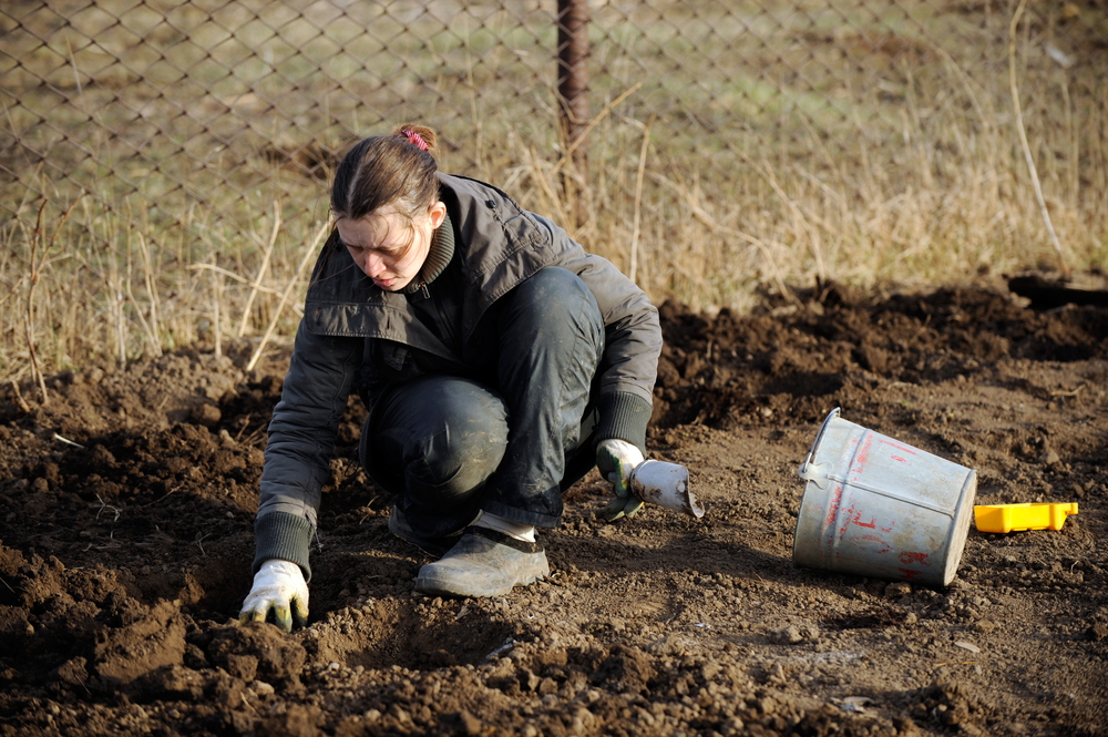 Teen facilities: Young teen crouches in garden bed wearing heavy overcoat and garden gloves prepping soil.