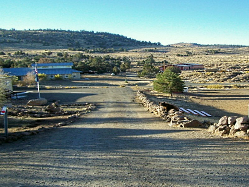 China Springs Youth Camp entrance and buildings in a desert landscape