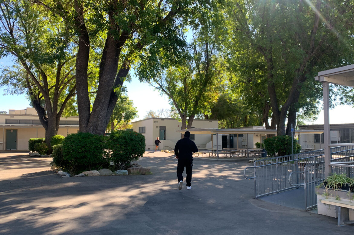 No school suspension: Back of lone person walking away from camera across cement area shaded by two very large trees towards low tan buildings in the background